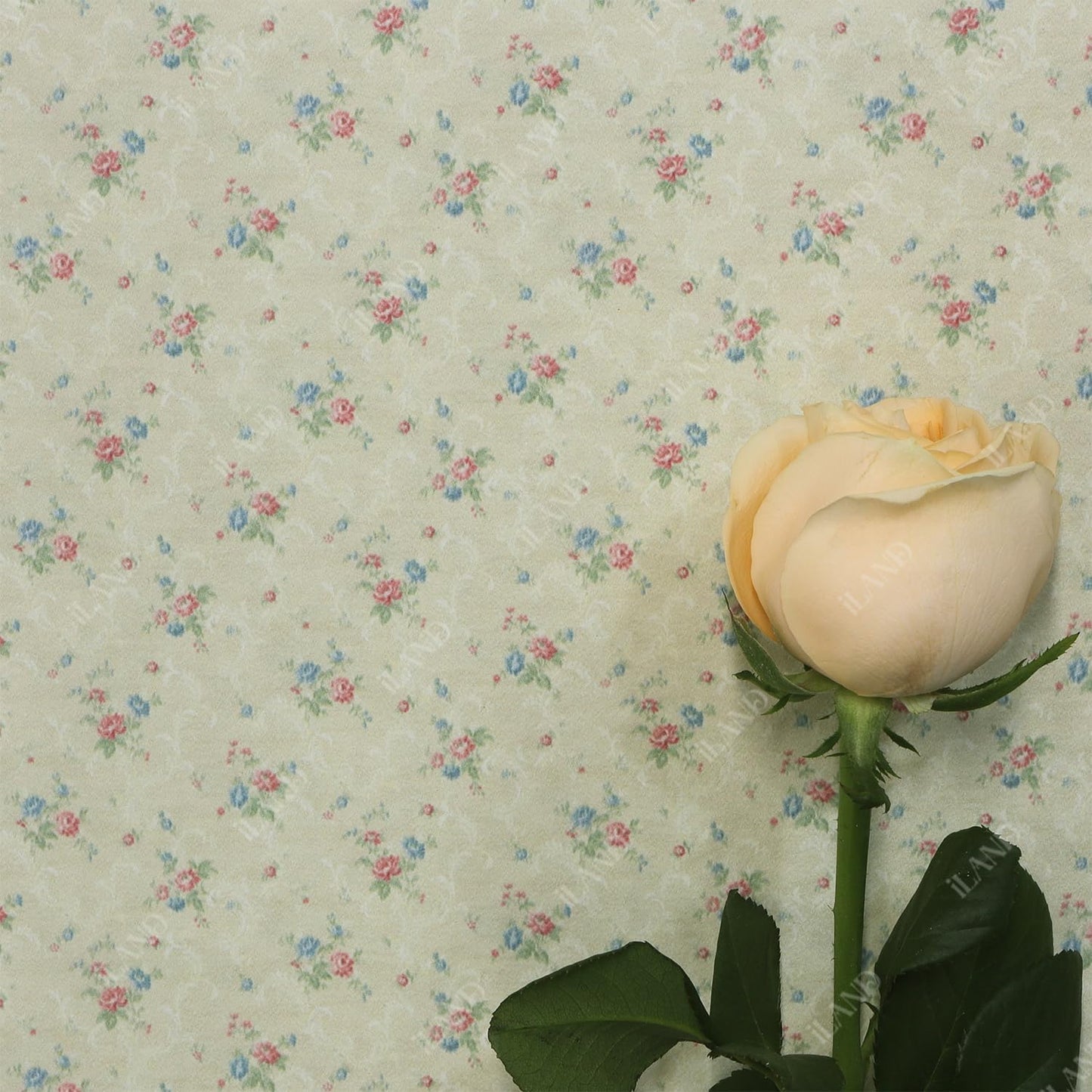 Dollhouse Wallpaper 39x15.7 Inch for 1:12 or 1:6 Scale