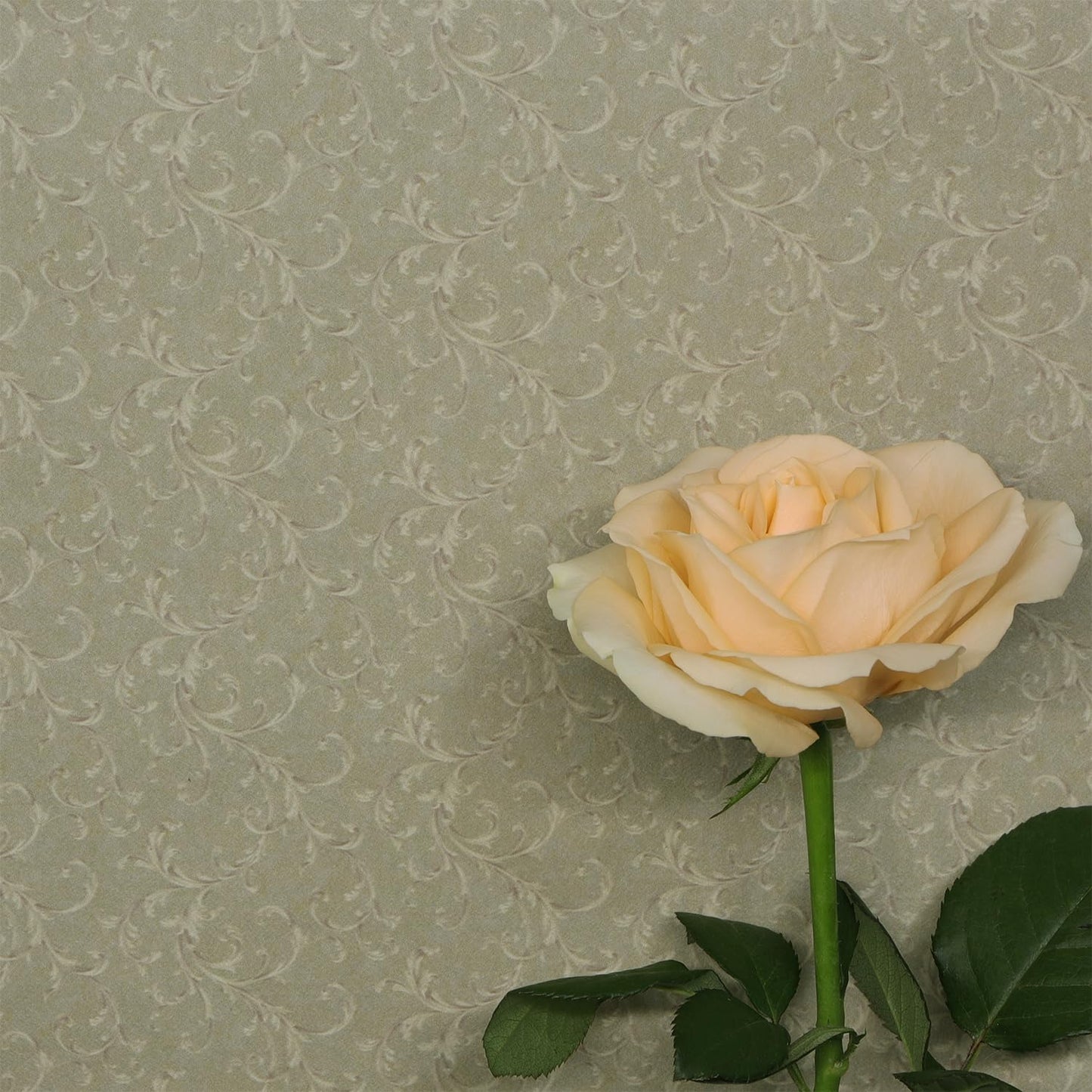 Dollhouse Wallpaper 39x15.7 Inch for 1:12 or 1:6 Scale