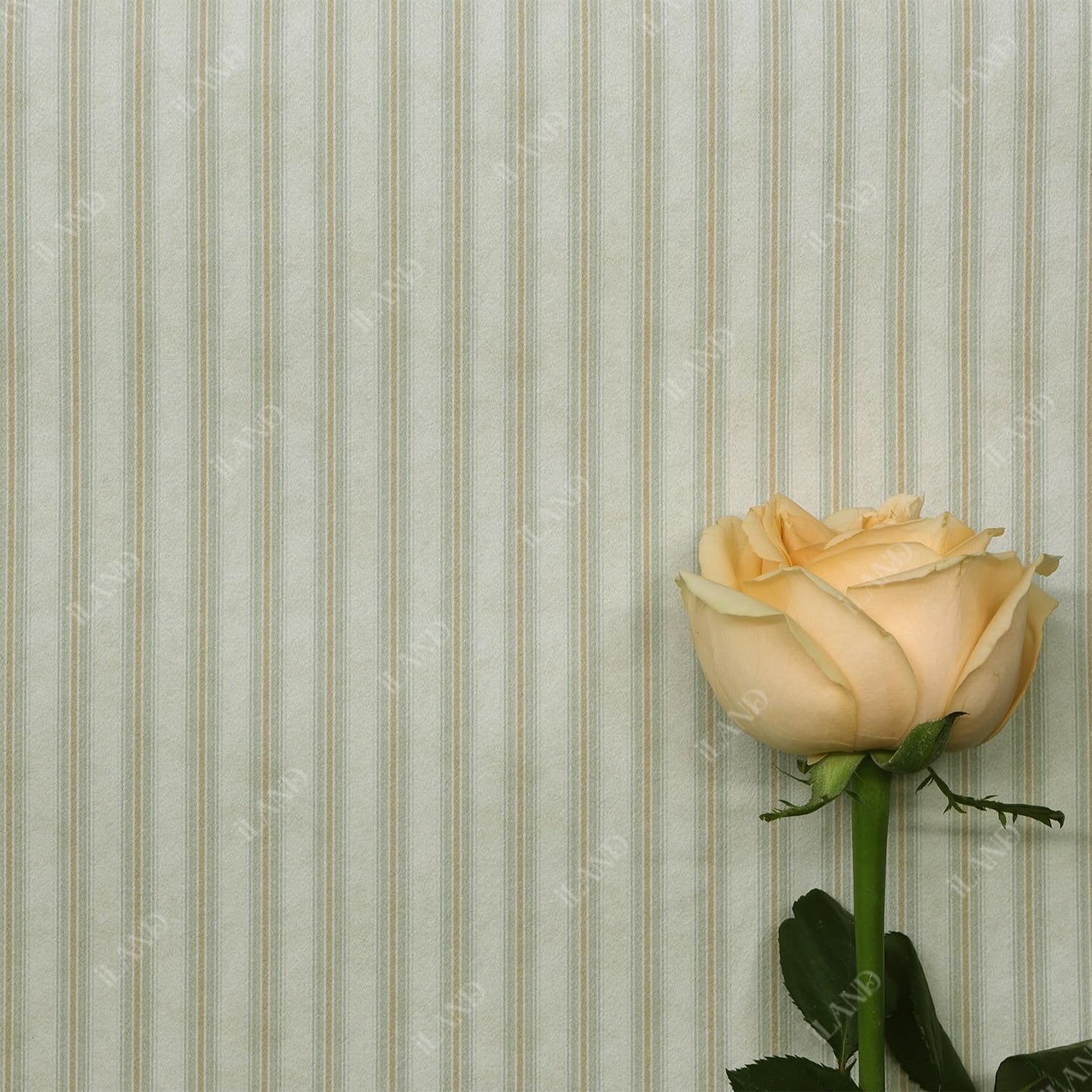 Dollhouse Wallpaper 39x15.7 Inch for 1:12 or 1:6 Scale